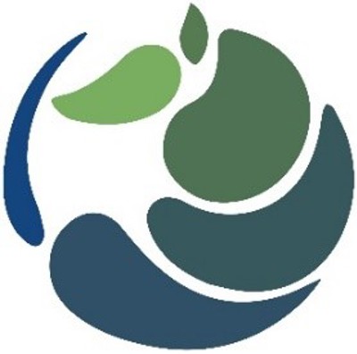 Armadillo Analytics logo